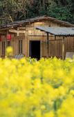 Туры в отель Kongjie Valley Туры в отель Kongjie Valley