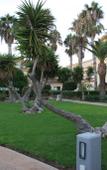 Туры в отель Makronisos Holiday Village Туры в отель Makronisos Holiday Village