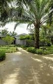 Туры в отель Mangala Estate Boutique Resort Туры в отель Mangala Estate Boutique Resort
