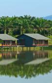 Туры в отель Mangala Estate Boutique Resort Туры в отель Mangala Estate Boutique Resort