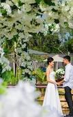 Туры в отель Mangala Estate Boutique Resort Туры в отель Mangala Estate Boutique Resort