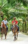 Туры в отель Mangala Estate Boutique Resort Туры в отель Mangala Estate Boutique Resort