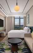 Туры в отель Hilton Garden Inn Guiyang Gui an New Area Туры в отель Hilton Garden Inn Guiyang Gui an New Area