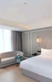 Туры в отель Mercure Wuhan Yangluo Туры в отель Mercure Wuhan Yangluo