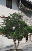 Туры в отель Atour Hotel (Shanghai International Resort Chuansha Ancient Town) Туры в отель Atour Hotel (Shanghai International Resort Chuansha Ancient Town)