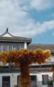 Туры в отель Atour Hotel (Shanghai International Resort Chuansha Ancient Town) Туры в отель Atour Hotel (Shanghai International Resort Chuansha Ancient Town)