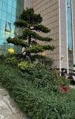 Туры в отель JIAFENG INTERNATIONAL HOTEL Туры в отель JIAFENG INTERNATIONAL HOTEL