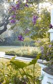 Туры в отель Marbella Club Hotel Golf Resort & Spa Туры в отель Marbella Club Hotel Golf Resort & Spa