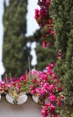 Туры в отель Marbella Club Hotel Golf Resort & Spa Туры в отель Marbella Club Hotel Golf Resort & Spa