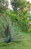 Туры в отель Reserva Natural Tierra Adentro Туры в отель Reserva Natural Tierra Adentro