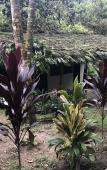 Туры в отель Reserva Natural Tierra Adentro Туры в отель Reserva Natural Tierra Adentro