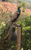 Туры в отель Reserva Natural Tierra Adentro Туры в отель Reserva Natural Tierra Adentro