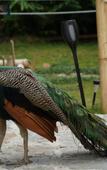 Туры в отель Reserva Natural Tierra Adentro Туры в отель Reserva Natural Tierra Adentro