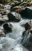 Туры в отель Reserva Natural Tierra Adentro Туры в отель Reserva Natural Tierra Adentro