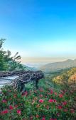 Туры в отель Reserva Natural Tierra Adentro Туры в отель Reserva Natural Tierra Adentro
