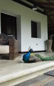 Туры в отель Reserva Natural Tierra Adentro Туры в отель Reserva Natural Tierra Adentro