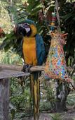 Туры в отель Reserva Natural Tierra Adentro Туры в отель Reserva Natural Tierra Adentro