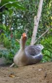 Туры в отель Reserva Natural Tierra Adentro Туры в отель Reserva Natural Tierra Adentro