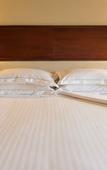 Туры в отель Barcelo San Jose Туры в отель Barcelo San Jose