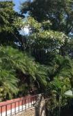 Туры в отель Hotel Tamarindo Village Туры в отель Hotel Tamarindo Village
