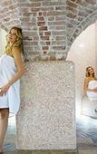 Туры в отель Hotel Zlaty Lev Zatec Туры в отель Hotel Zlaty Lev Zatec