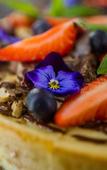Туры в отель Honour and Grace Hotel Туры в отель Honour and Grace Hotel