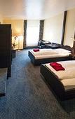 Туры в отель Tagungshotel Hochster Hof Frankfurt Туры в отель Tagungshotel Hochster Hof Frankfurt