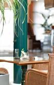 Туры в отель Das Carls Hotel Туры в отель Das Carls Hotel