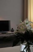 Туры в отель AKZENT Hotel Koerner Hof Туры в отель AKZENT Hotel Koerner Hof