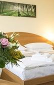 Туры в отель astral Inn Hotel Leipzig Туры в отель astral Inn Hotel Leipzig