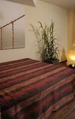 Туры в отель Boutique Hotel Viva Creativo Туры в отель Boutique Hotel Viva Creativo