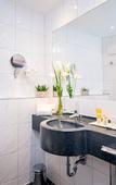 Туры в отель Hotel & Restaurant Goldener Pflug Туры в отель Hotel & Restaurant Goldener Pflug