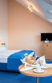 Туры в отель Hotel & Restaurant Goldener Pflug Туры в отель Hotel & Restaurant Goldener Pflug
