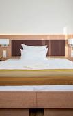 Туры в отель Hotel & Restaurant Goldener Pflug Туры в отель Hotel & Restaurant Goldener Pflug