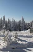 Туры в отель Schlossberghotel Oberhof Туры в отель Schlossberghotel Oberhof