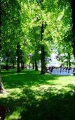 Туры в отель ArtHotel Kiebitzberg Туры в отель ArtHotel Kiebitzberg