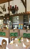 Туры в отель Hotel & Restaurant Zur Spreewalderin Туры в отель Hotel & Restaurant Zur Spreewalderin