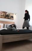 Туры в отель Hotel Amical Туры в отель Hotel Amical