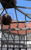 Туры в отель Hotel Arminius Туры в отель Hotel Arminius