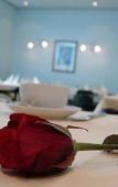 Туры в отель Best Western Hotel Im Forum Muelheim Туры в отель Best Western Hotel Im Forum Muelheim