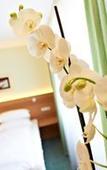 Туры в отель Hirsch Hotel Туры в отель Hirsch Hotel