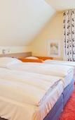 Туры в отель Hirsch Hotel Туры в отель Hirsch Hotel