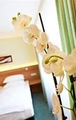 Туры в отель Hirsch Hotel Туры в отель Hirsch Hotel