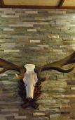 Туры в отель Hotel Sportalm Gipfelgluck Туры в отель Hotel Sportalm Gipfelgluck