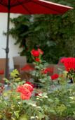 Туры в отель Hotel St Florian Туры в отель Hotel St Florian