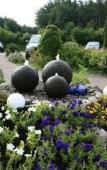Туры в отель Hotel Circle Inn Туры в отель Hotel Circle Inn
