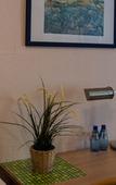 Туры в отель Hotel Apex Туры в отель Hotel Apex