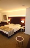 Туры в отель Hotel zum Adler Туры в отель Hotel zum Adler