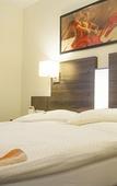 Туры в отель Hotel zum Adler Туры в отель Hotel zum Adler