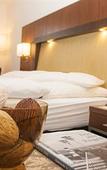 Туры в отель Hotel zum Adler Туры в отель Hotel zum Adler